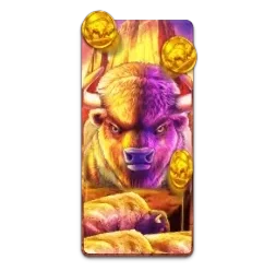 Buffalo
King